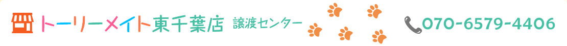   トーリーメイト東千葉店　譲渡センター 電話番号：070-6579-4406